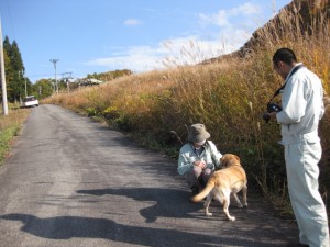 犬を拾いました。