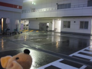 雨の富士チャレだったんでスッテ！！