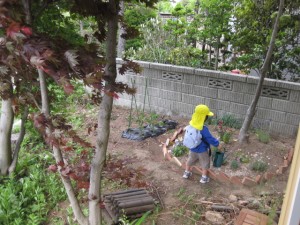 我が家の留守中、お庭の花に水をあげてくれていました。