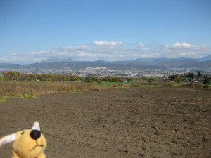 最高の景色なんでスッテ！！