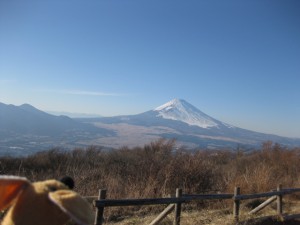 富士山なんでスッテ！！