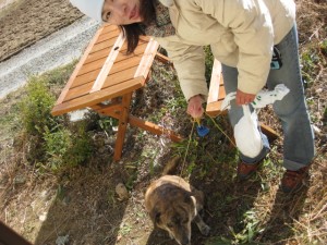 おちえさんと犬のふーちゃん。