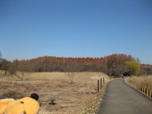 東京にもこんなステキな所があったんでスッテ！！