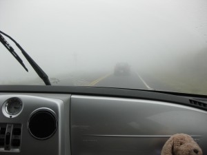 すごい霧です。前がまったく見えません。