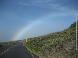 ハワイといえば虹！