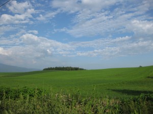 富良野です。