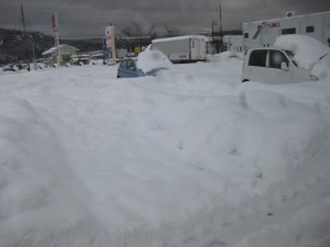 車も埋まってます・・。