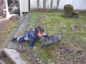 そのころ純は、猫と遊んでいました。